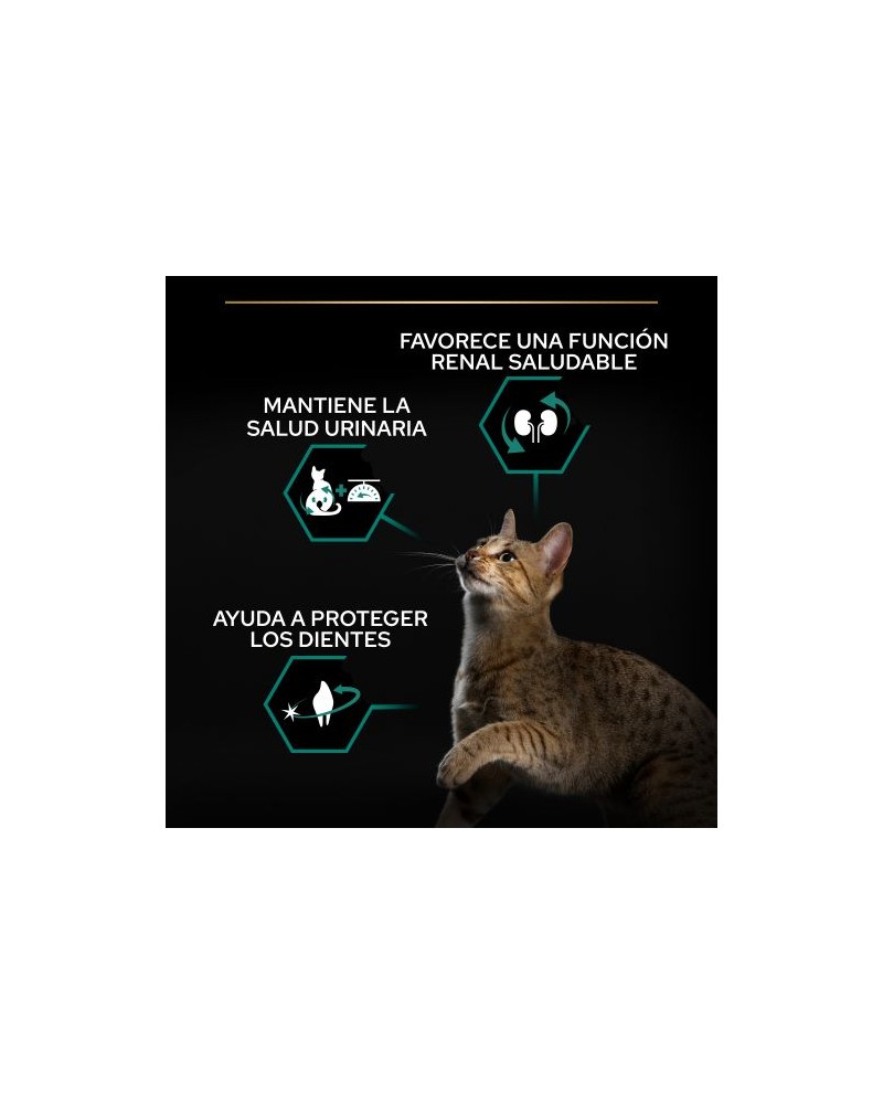 Pro Plan Pienso Gato Esterilizado Renal Plus Salm N Kg