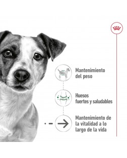 Caracteristicas del Royal Canin húmedo perro mini adulto 195 gr