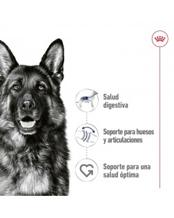 Beneficios del Royal Canin húmedo perro maxi adulto 410 gr