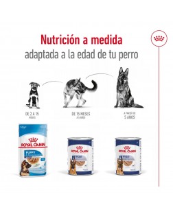 Adaptacion por edades del Royal Canin húmedo perro maxi adulto 410 gr