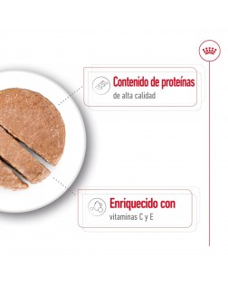 Caracteristicas del Royal Canin húmedo perro medium adulto 410 gr