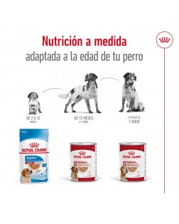 Adaptacion a la edad del Royal Canin húmedo perro medium adulto 410 gr